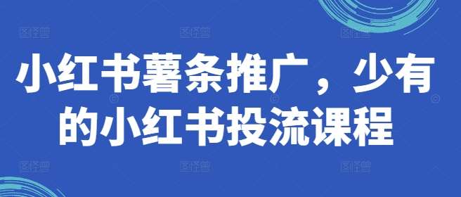 小红书薯条推广，少有的小红书投流课程-哔搭谋事网-原创客谋事网