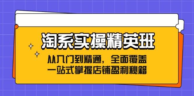 （12276期）淘系实操精英班：从入门到精通，全面覆盖，一站式掌握店铺盈利秘籍-哔搭谋事网-原创客谋事网