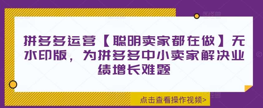 拼多多运营【聪明卖家都在做】无水印版，为拼多多中小卖家解决业绩增长难题-哔搭谋事网-原创客谋事网