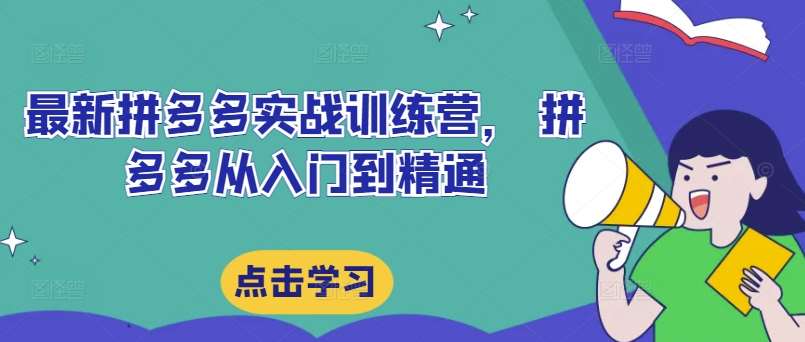 最新拼多多实战训练营， 拼多多从入门到精通-哔搭谋事网-原创客谋事网