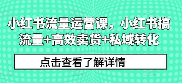 小红书流量运营课，小红书搞流量+高效卖货+私域转化-哔搭谋事网-原创客谋事网