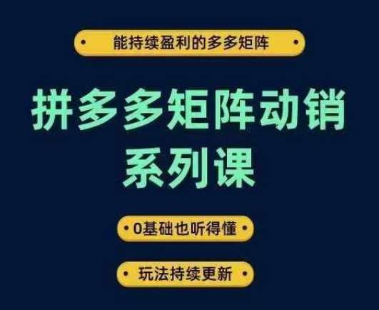 拼多多矩阵动销系列课，能持续盈利的多多矩阵，0基础也听得懂，玩法持续更新-哔搭谋事网-原创客谋事网