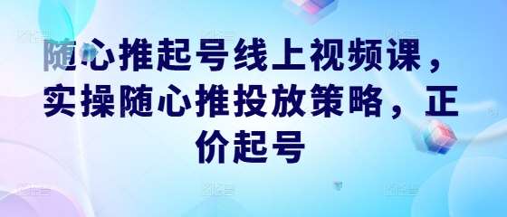 随心推起号线上视频课，实操随心推投放策略，正价起号-哔搭谋事网-原创客谋事网