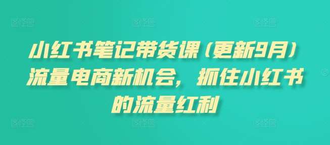 小红书笔记带货课(更新9月)流量电商新机会，抓住小红书的流量红利-哔搭谋事网-原创客谋事网