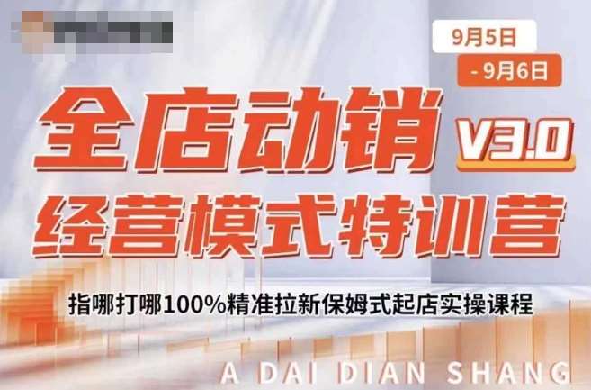 全店动销经营模式特训营，指哪打哪100%精准拉新保姆式起店实操课程-哔搭谋事网-原创客谋事网