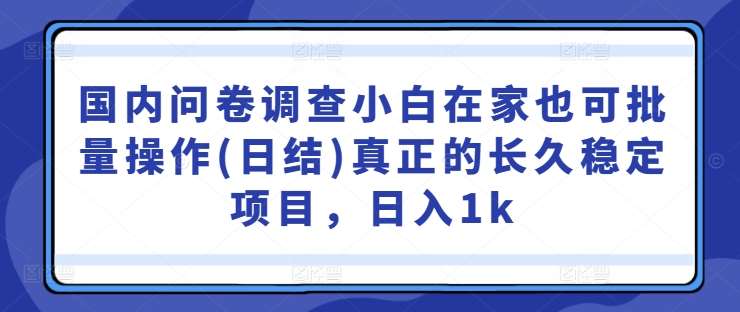 国内问卷调查小白在家也可批量操作(日结)真正的长久稳定项目，日入1k【揭秘】-哔搭谋事网-原创客谋事网