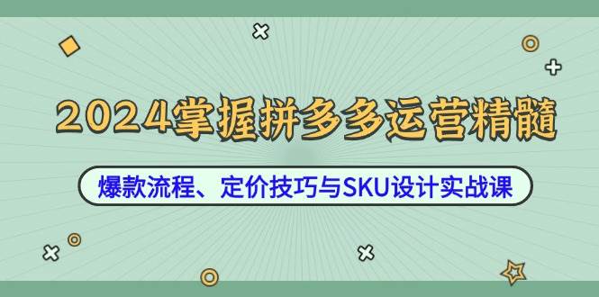 （12703期）2024掌握拼多多运营精髓：爆款流程、定价技巧与SKU设计实战课-哔搭谋事网-原创客谋事网