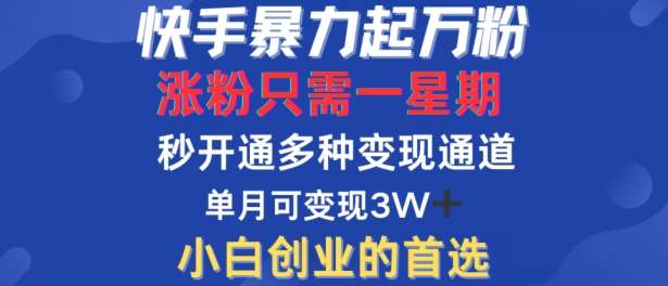 快手暴力起万粉，涨粉只需一星期，多种变现模式，直接秒开万合，单月变现过W【揭秘】-哔搭谋事网-原创客谋事网