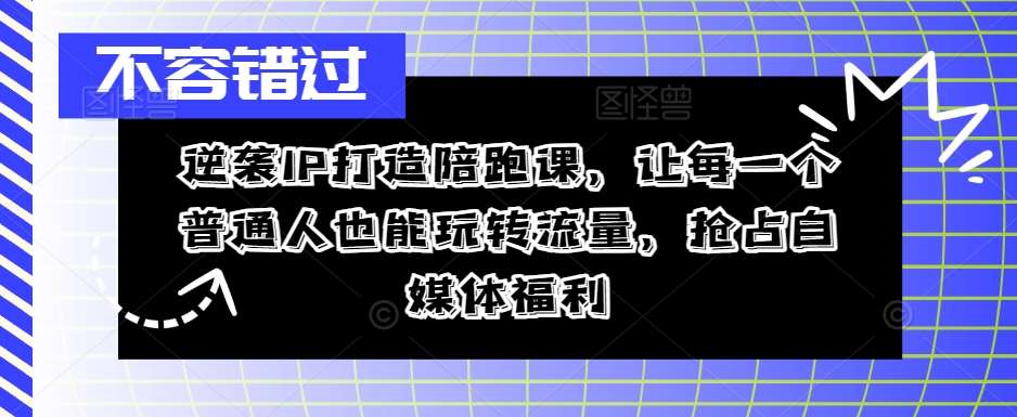 逆袭IP打造陪跑课，让每一个普通人也能玩转流量，抢占自媒体福利-哔搭谋事网-原创客谋事网