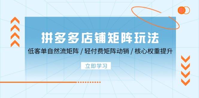 （12720期）拼多多店铺矩阵玩法：低客单自然流矩阵 / 轻付费矩阵 动销 / 核心权重提升-哔搭谋事网-原创客谋事网