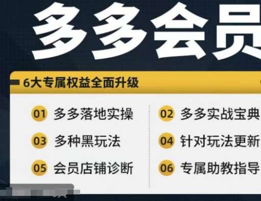 拼多多会员，拼多多实战宝典+实战落地实操，从新手到高阶内容全面覆盖-哔搭谋事网-原创客谋事网