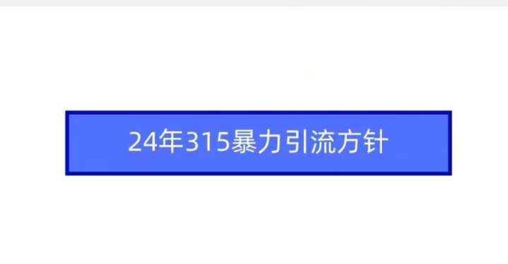 24年315暴力引流方针-哔搭谋事网-原创客谋事网