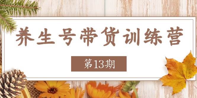 （11275期）养生号-带货训练营【第13期】收益更稳定的玩法，让你带货收益爆炸-哔搭谋事网-原创客谋事网