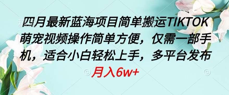 四月最新蓝海项目，简单搬运TIKTOK萌宠视频，操作简单方便，仅需一部手机【揭秘】-哔搭谋事网-原创客谋事网