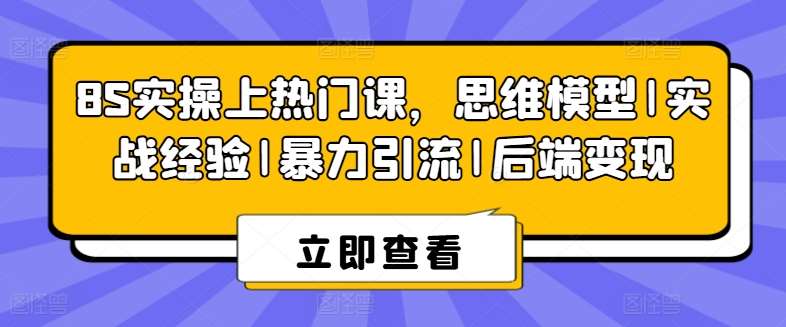 8S实操上热门课，思维模型|实战经验|暴力引流|后端变现-哔搭谋事网-原创客谋事网