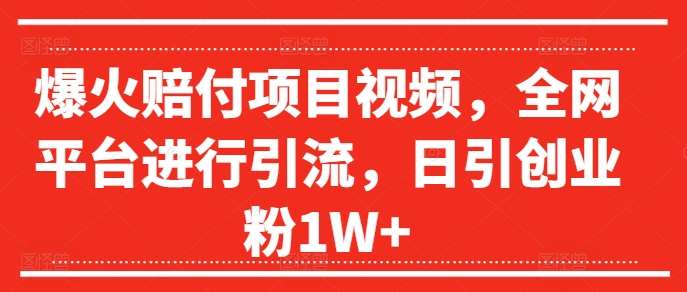 爆火赔付项目视频，全网平台进行引流，日引创业粉1W+【揭秘】-哔搭谋事网-原创客谋事网