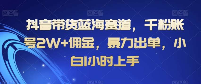 抖音带货蓝海赛道，千粉账号2W+佣金，暴力出单，小白1小时上手【揭秘】-哔搭谋事网-原创客谋事网