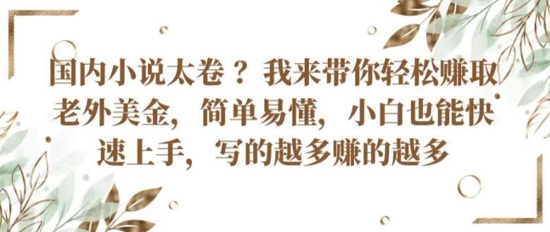 国内小说太卷 ?带你轻松赚取老外美金，简单易懂，小白也能快速上手，写的越多赚的越多【揭秘】-哔搭谋事网-原创客谋事网