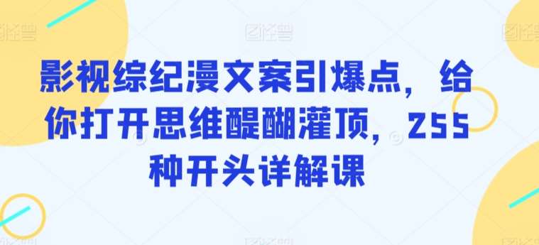 影视综纪漫文案引爆点，给你打开思维醍醐灌顶，255种开头详解课-哔搭谋事网-原创客谋事网