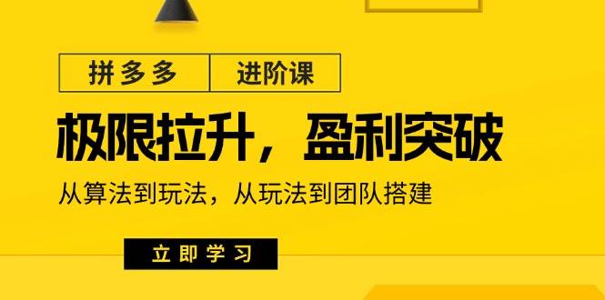 （11435期）拼多多·进阶课：极限拉升/盈利突破：从算法到玩法 从玩法到团队搭建-18节-哔搭谋事网-原创客谋事网