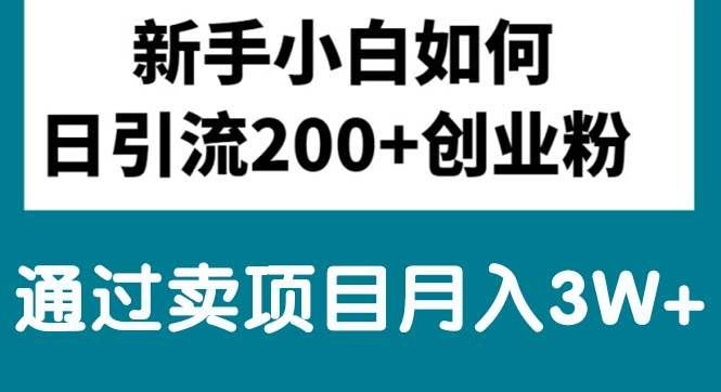 （10843期）新手小白日引流200+创业粉,通过卖项目月入3W+-哔搭谋事网-原创客谋事网