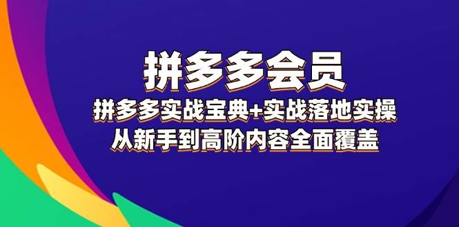 （12056期）拼多多 会员，拼多多实战宝典+实战落地实操，从新手到高阶内容全面覆盖-哔搭谋事网-原创客谋事网