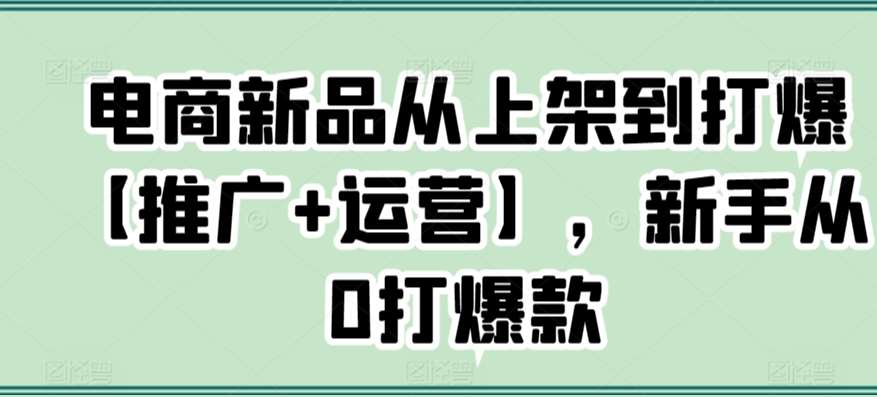 电商新品从上架到打爆【推广+运营】，新手从0打爆款-哔搭谋事网-原创客谋事网