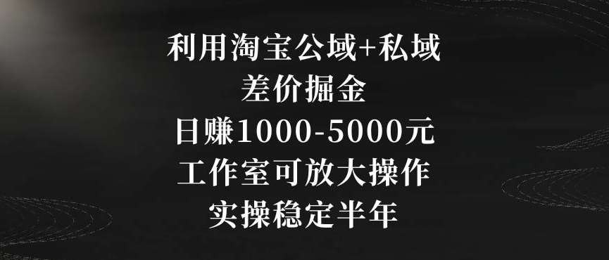 利用淘宝公域+私域差价掘金，日赚1000-5000元，工作室可放大操作，实操稳定半年【揭秘】-哔搭谋事网-原创客谋事网