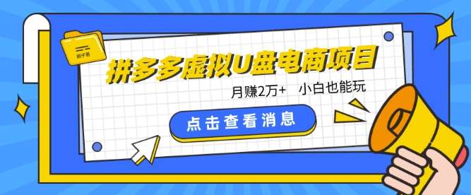 拼多多虚拟U盘电商红利项目：月赚2万+，新手小白也能玩-哔搭谋事网-原创客谋事网