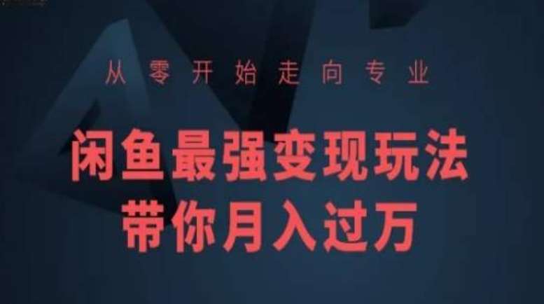 从零开始走向专业，闲鱼最强变现玩法带你月入过万-哔搭谋事网-原创客谋事网