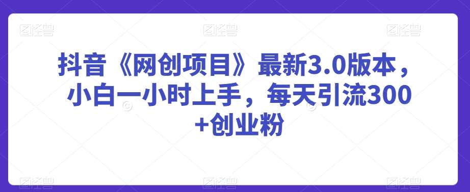 抖音《网创项目》最新3.0版本，小白一小时上手，每天引流300+创业粉【揭秘】-哔搭谋事网-原创客谋事网