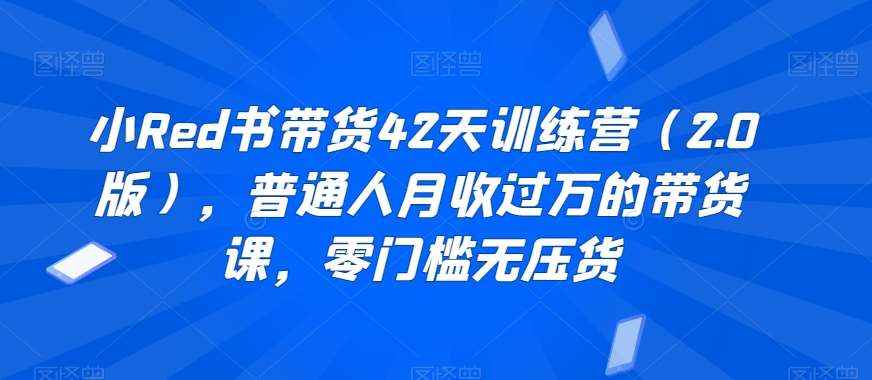 小Red书带货42天训练营（2.0版），普通人月收过万的带货课，零门槛无压货-哔搭谋事网-原创客谋事网