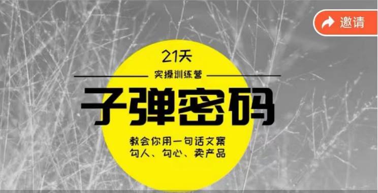 《子弹密码训练营》-用一句话文案勾人勾心卖产品，21天学到顶尖文案大师策略和技巧-哔搭谋事网-原创客谋事网