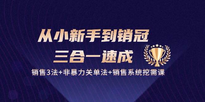 从小新手到销冠三合一速成：销售3法+非暴力关单法+销售系统挖需课 (27节)-哔搭谋事网-原创客谋事网