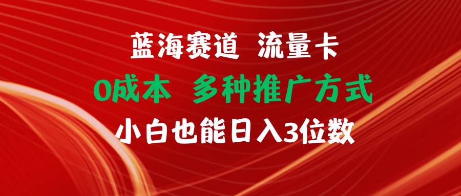 （11768期）蓝海赛道 流量卡 0成本 小白也能日入三位数-哔搭谋事网-原创客谋事网