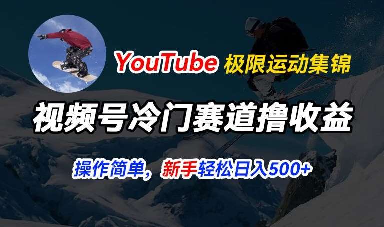 视频号冷门赛道撸收益，YouTube搬运极限运动集锦，暴力起号，操作简单流量高，轻松日入5张【揭秘】-哔搭谋事网-原创客谋事网