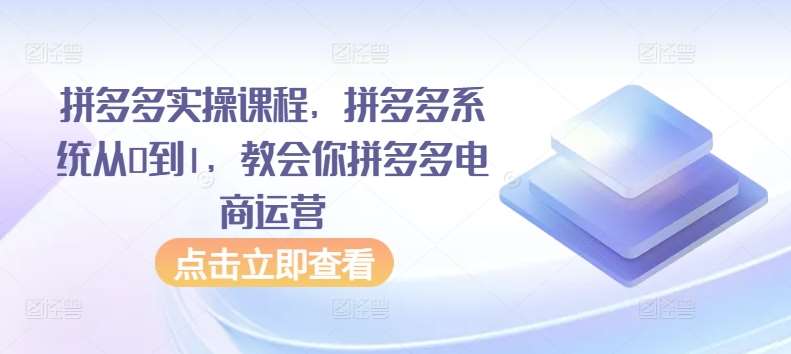 拼多多实操课程，拼多多系统从0到1，教会你拼多多电商运营-哔搭谋事网-原创客谋事网