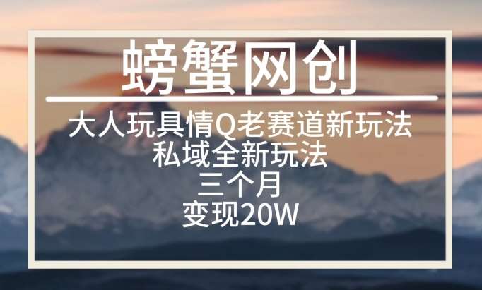 大人玩具情Q用品赛道私域全新玩法，三个月变现20W，老项目新思路【揭秘】-哔搭谋事网-原创客谋事网