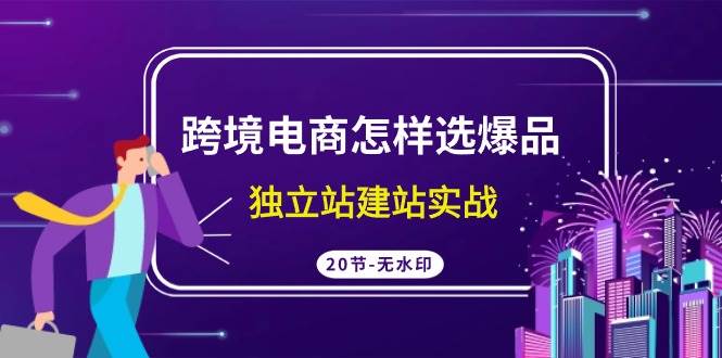 （9369期）跨境电商怎样选爆品，独立站建站实战（20节高清无水印课）-哔搭谋事网-原创客谋事网