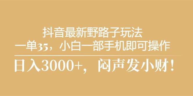 （10766期）抖音最新野路子玩法，一单35，小白一部手机即可操作，，日入3000+，闷…-哔搭谋事网-原创客谋事网