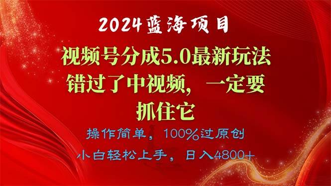 （11032期）2024蓝海项目，视频号分成计划5.0最新玩法，错过了中视频，一定要抓住…-哔搭谋事网-原创客谋事网