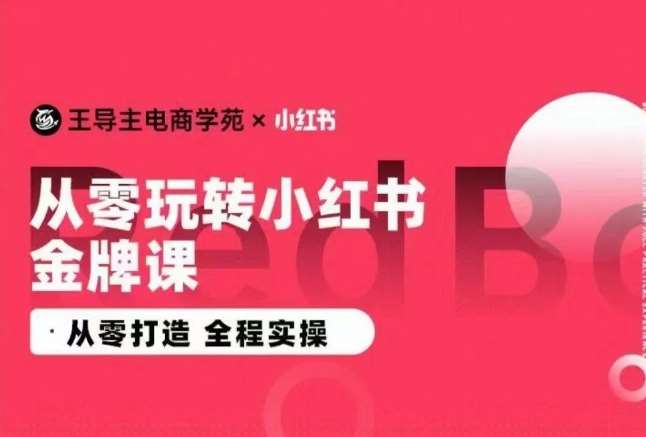 王导主·小红书电商运营实操课，​从零打造  全程实操-哔搭谋事网-原创客谋事网