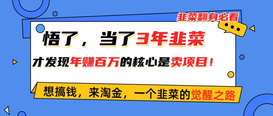 （10759期）悟了，当了3年韭菜，才发现网赚圈年赚100万的核心是卖项目，含泪分享！-哔搭谋事网-原创客谋事网