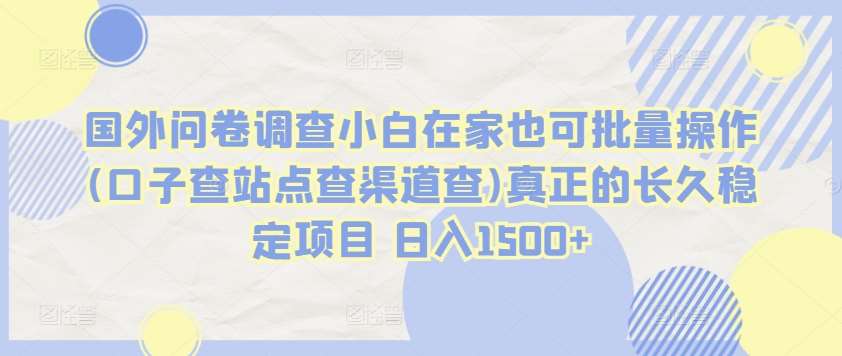 国外问卷调查小白在家也可批量操作(口子查站点查渠道查)真正的长久稳定项目 日入1500+【揭秘】-哔搭谋事网-原创客谋事网