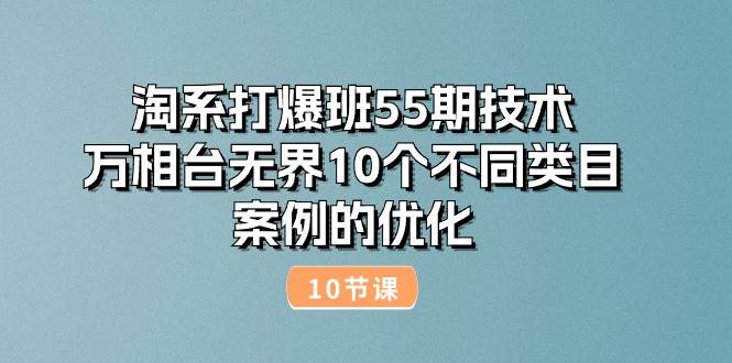 （10996期）淘系打爆班55期技术：万相台无界10个不同类目案例的优化（10节）-哔搭谋事网-原创客谋事网