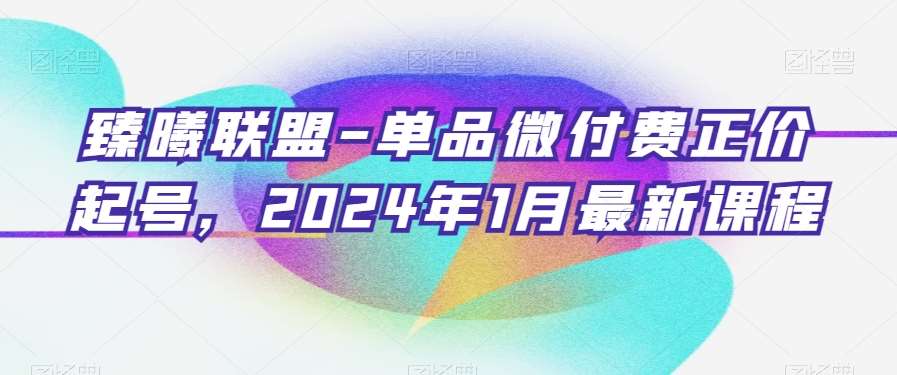 臻曦联盟-单品微付费正价起号，2024年1月最新课程-哔搭谋事网-原创客谋事网