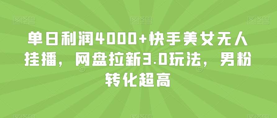 单日利润4000+快手美女无人挂播，网盘拉新3.0玩法，男粉转化超高【揭秘】-哔搭谋事网-原创客谋事网