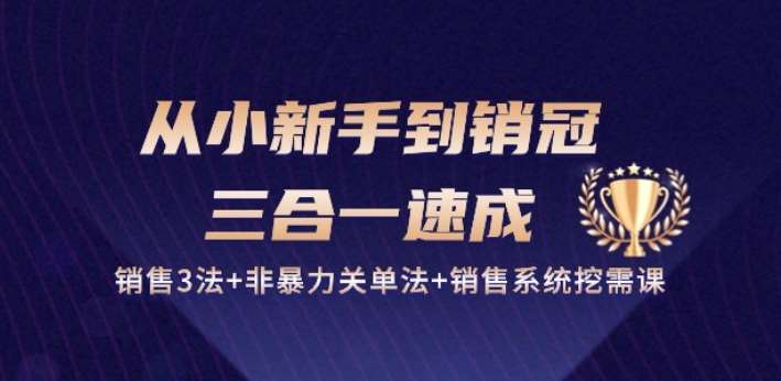 从小新手到销冠 三合一速成：销售3法+非暴力关单法+销售系统挖需课 (27节)-哔搭谋事网-原创客谋事网