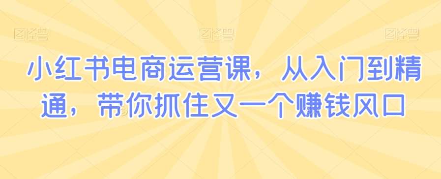 小红书电商运营课，从入门到精通，带你抓住又一个赚钱风口-哔搭谋事网-原创客谋事网