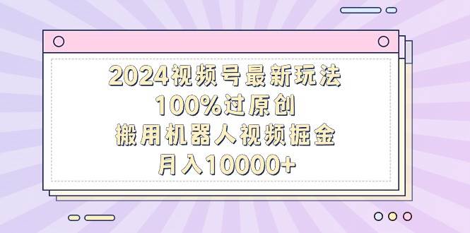 （9151期）2024视频号最新玩法，100%过原创，搬用机器人视频掘金，月入10000+-哔搭谋事网-原创客谋事网